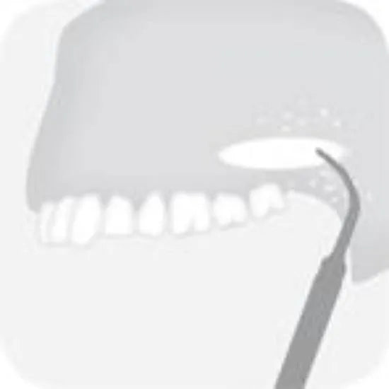 B5 Block graft tip 5 Global Dental Shop